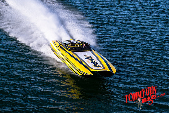DCB-M44-Bananas-tom-leigh-128