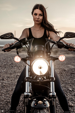 bling-sauce-harley-2020-tom-leigh-475