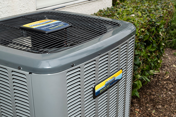 dynamic-air-services-2019-tom-leigh-42-2