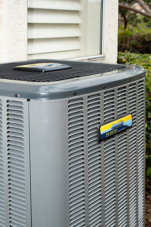 dynamic-air-services-2019-tom-leigh-43-2