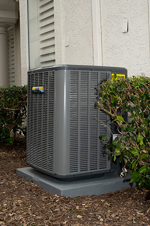 dynamic-air-services-2019-tom-leigh-45-2