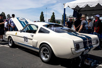 OVC-fabulous-fords-2019-tom-leigh-64-2