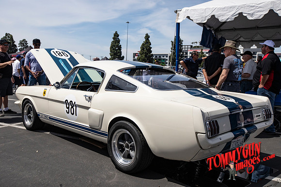 OVC-fabulous-fords-2019-tom-leigh-64-2