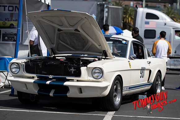 OVC-fabulous-fords-2019-tom-leigh-105