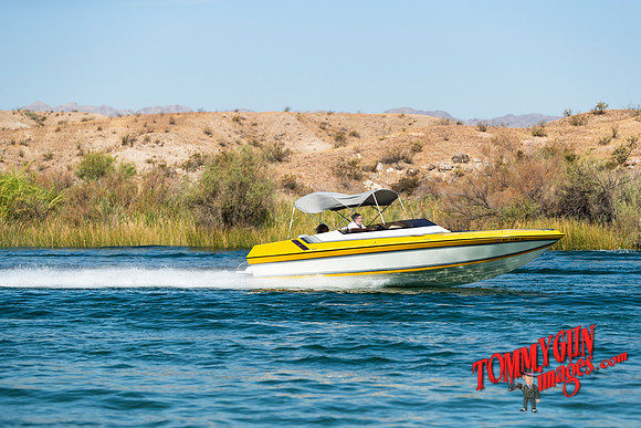 halletts-in-havasu-2019-tom-leigh-774-2