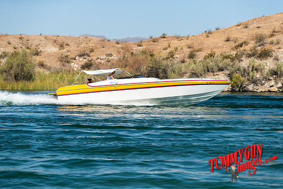 halletts-in-havasu-2019-tom-leigh-1549