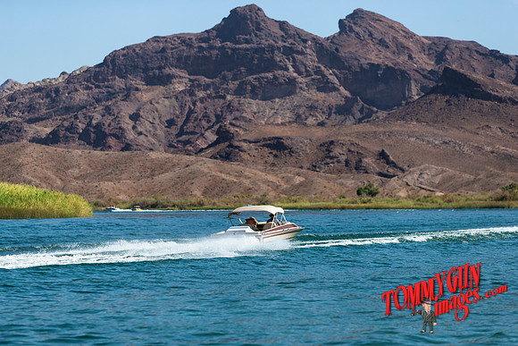 halletts-in-havasu-2019-tom-leigh-1046-2
