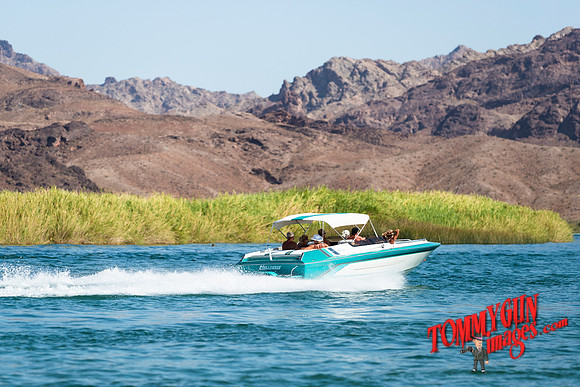 halletts-in-havasu-2019-tom-leigh-987-2