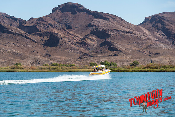 halletts-in-havasu-2019-tom-leigh-1882