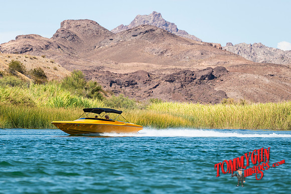 halletts-in-havasu-2019-tom-leigh-1646