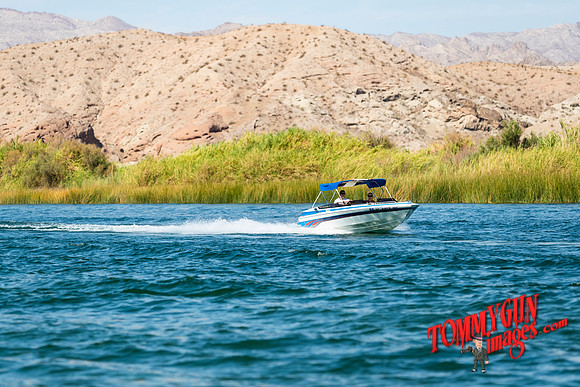 halletts-in-havasu-2019-tom-leigh-495-2