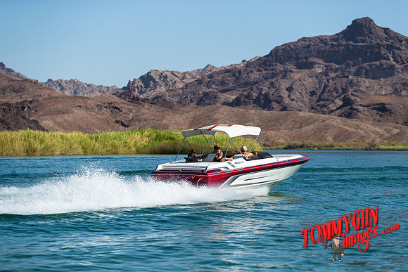 halletts-in-havasu-2019-tom-leigh-726-2