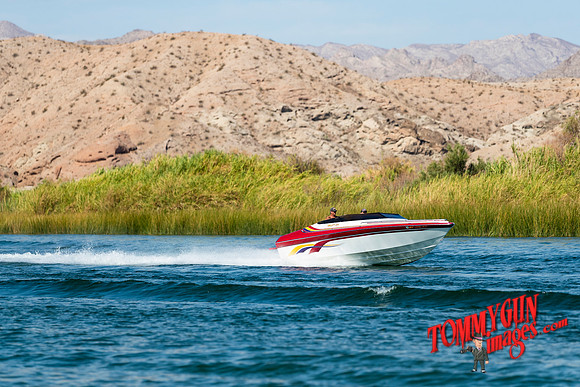 halletts-in-havasu-2019-tom-leigh-907-2
