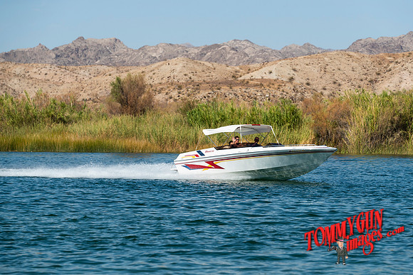 halletts-in-havasu-2019-tom-leigh-2265