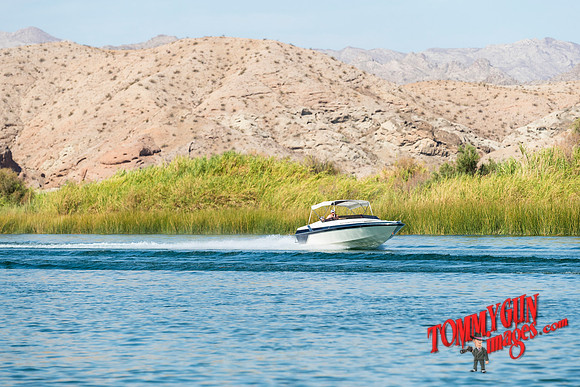halletts-in-havasu-2019-tom-leigh-1446