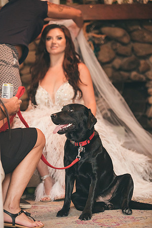barrett-wedding-2020-tom-leigh-235-2