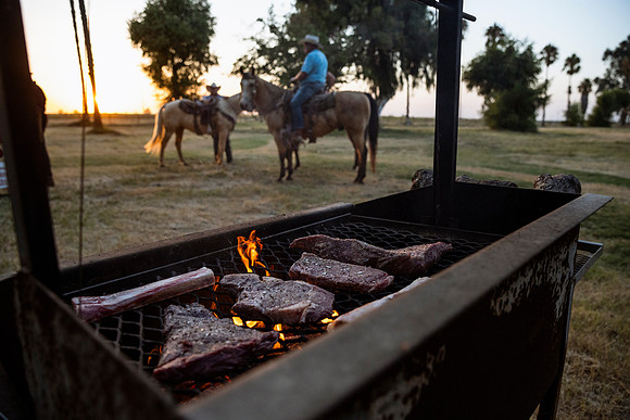 herradina-wagyu-2024-tom-leigh-7463