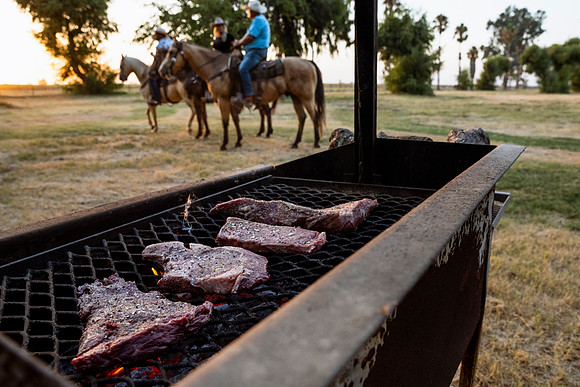 herradina-wagyu-2024-tom-leigh-7439