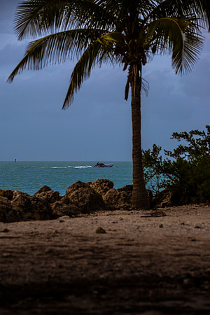 key-west-2024-tom-leigh-1863