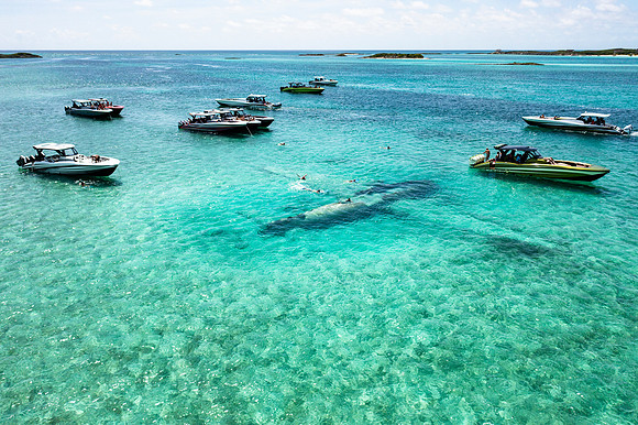 mti-bahamas-2022-tom-leigh-0003