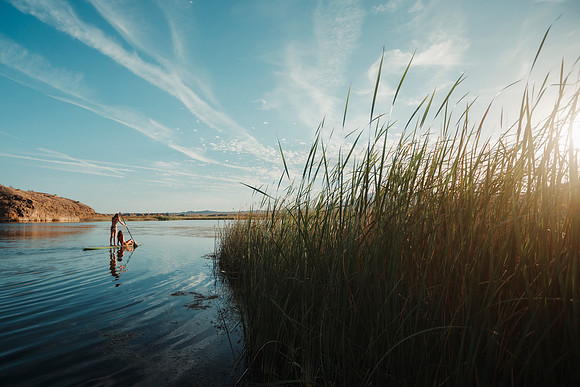lexi-calia-paddle-board-2020-tom-leigh-336
