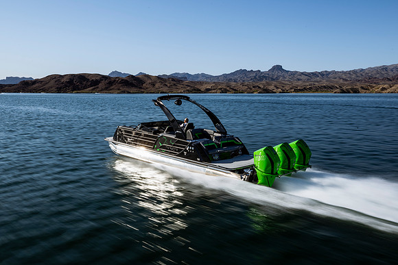 super-cat-fest-2025-tom-leigh-8547