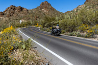 copperstate-1000-2024-tom-leigh-0238