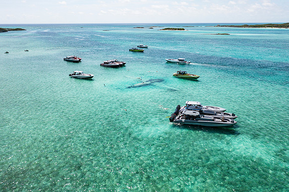 mti-bahamas-2022-tom-leigh-0002