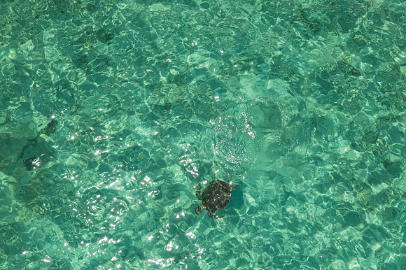 mti-bahamas-2022-tom-leigh-0069